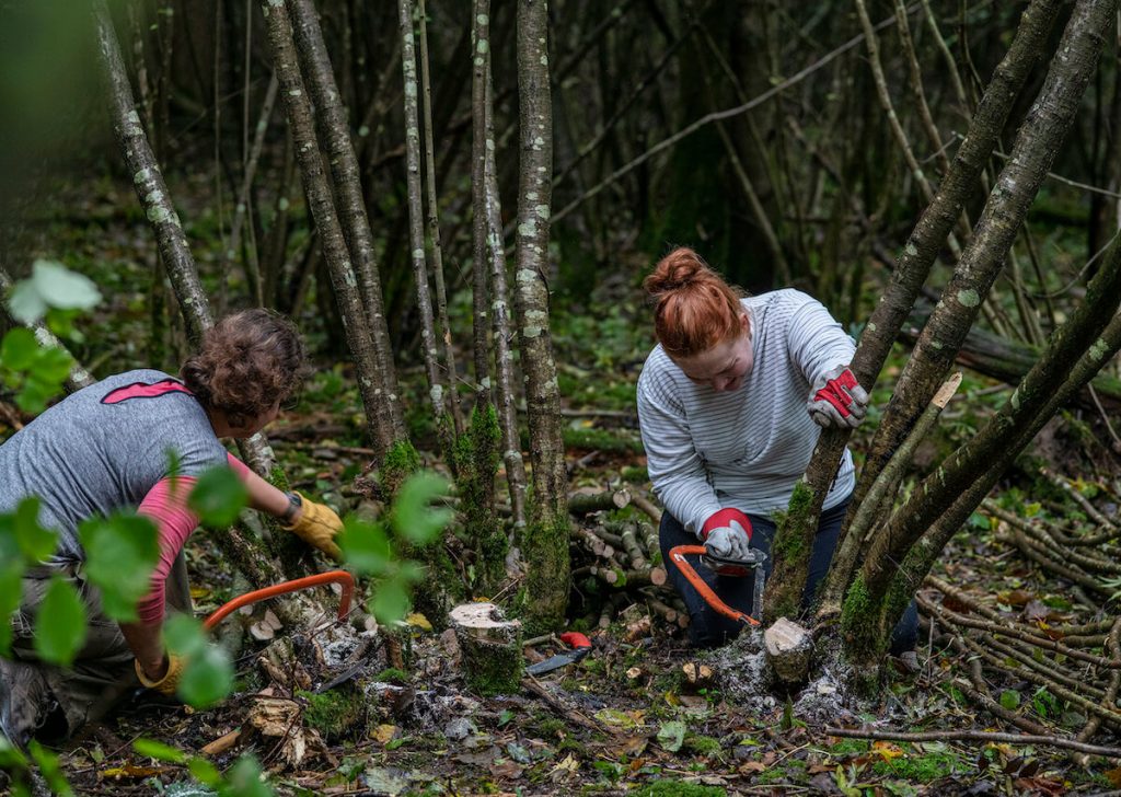 A successful coppice season draws to a close